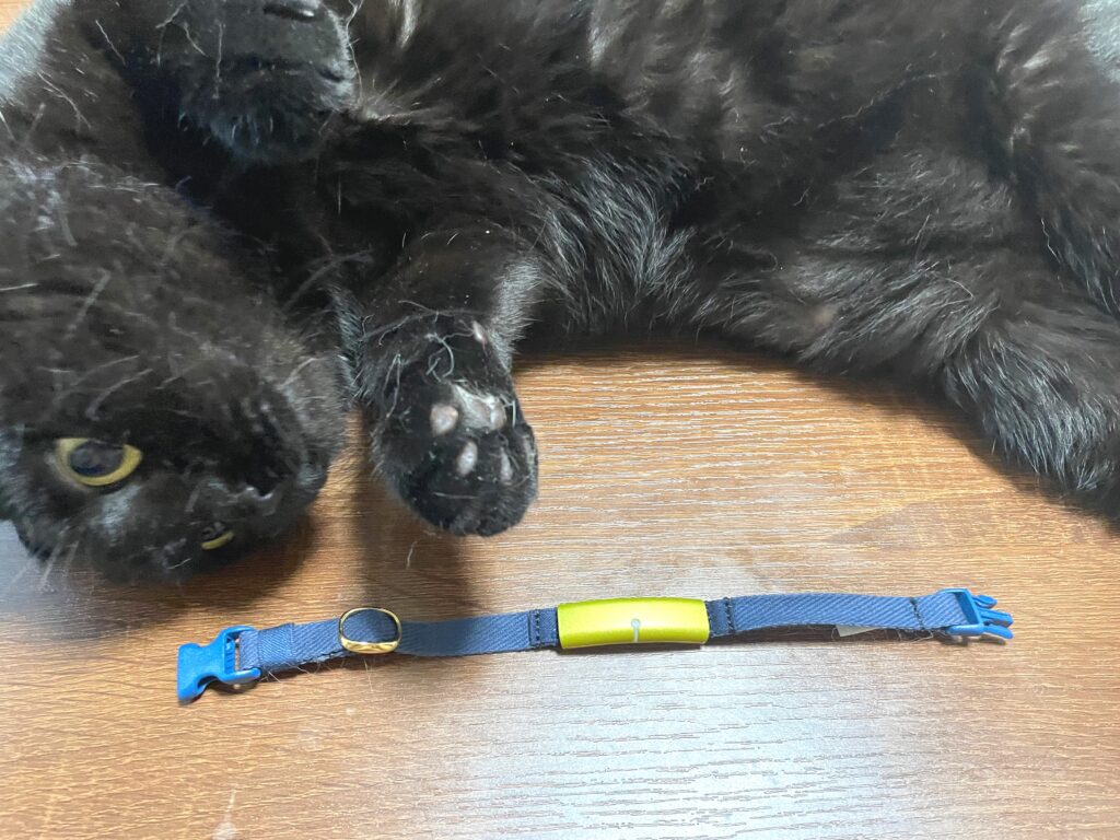 キャットログ